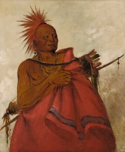 Tcha-tó-ga, Mad Buffalo, Murderer of Two White Men
