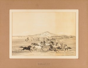 Wild Horses at Play--no. 3 by George Catlin