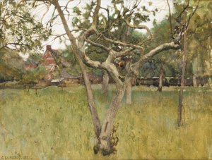 An Orchard