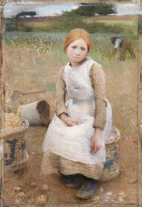 Little Rose