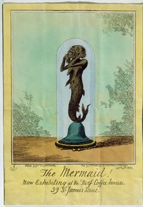 The Mermaid, Now Exhibiting at the Turf Coffee House, St. James