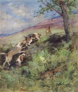 Illustration for The Story of a Red Deer