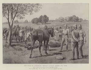 The Siege of Ladysmith, killing Cavalry Horses for Food by George Derville Rowlandson