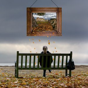 Framed Autumn Contemplation