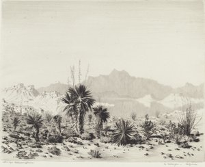 A Mirage, Arizona by George Elbert Burr