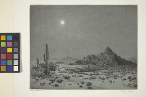 Arizona Night by George Elbert Burr