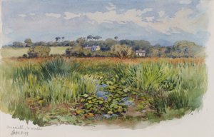 Criccieth, N Wales by George Elbert Burr