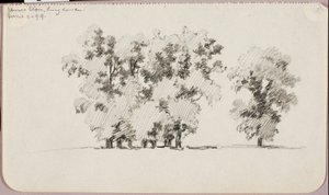 Elms, Eton, England by George Elbert Burr