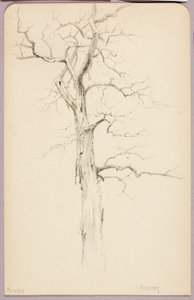 Hickory by George Elbert Burr