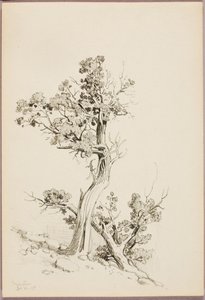 Manitou by George Elbert Burr