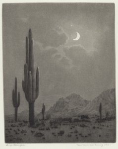 New Moon and Evening Star by George Elbert Burr