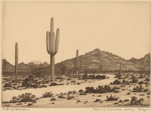 Road to Paradise Valley, Arizona