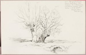 Roche Vaud by George Elbert Burr