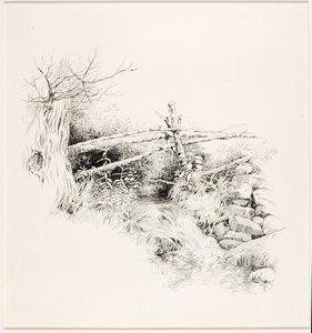Untitled (Woodland Stream)