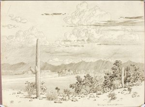 Untitled (Transfer Drawing for Verde River, Apache Reservation, Arizona)