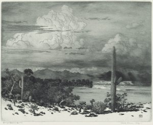 Verde River, Arizona by George Elbert Burr