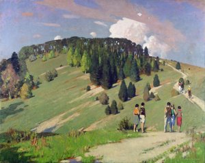 Hikers at Goodwood Downs