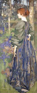 In the Bluebell Wood
