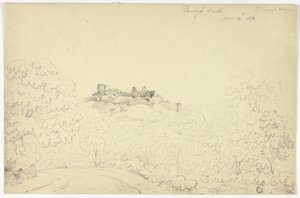 Denbigh Castle from Segroyt Dingle