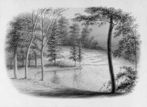 A Brook from Hosack Album
