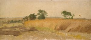 Study of a Cornfield
