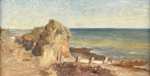 A Coastal Study