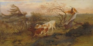 The Wind on the Wold