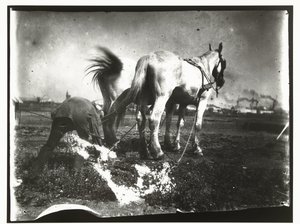 Plowing a Field with Horses by George Hendrik Breitner
