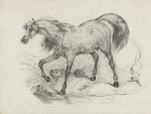 Standing Horse, Facing Left
