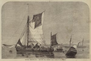 British Fisheries, No. 7, Trotting for Whelks by George Henry Andrews