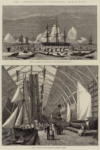 The International Fisheries Exhibition