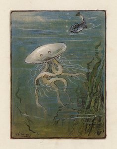 The Jellyfish by George Henry Thompson