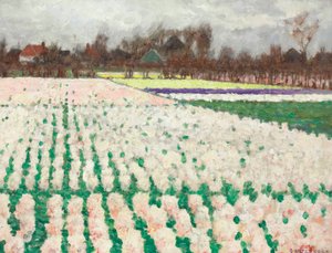 Hyacinth Fields by George Hitchcock
