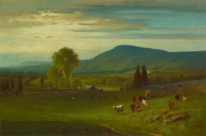 Summer in the Catskills