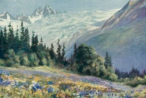 Campanula and Other July Flowers on the Col Des Montets by George Jackson Flemwell