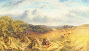 Fair Waves the Golden Corn by George Lucas