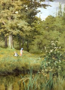 Picking Wild Flowers