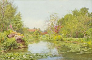 The Lily Pond
