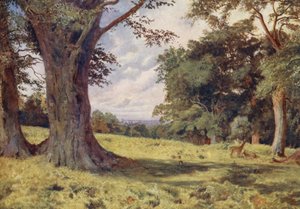 A Glade in Windsor Great Park by George Moore Henton