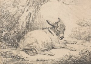 Study of a Donkey Under a Tree