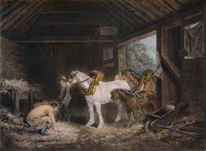 The Farmer