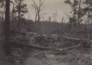 Battle Field of New Hope Church, Georgia No. 2, 1860s