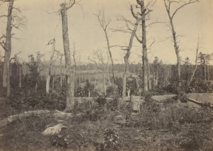 Battleground of Resaca, Georgia, No 3, 1864 by George N. Barnard
