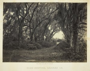 Buen-Ventura Savannah, Ga.