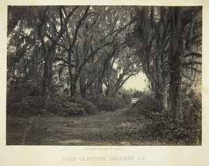 Buen-Ventura Savannah, Ga., 1866