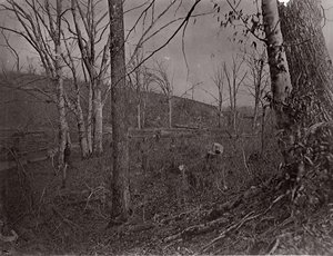 Bull Run, Virginia, 1861-62