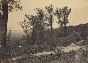 The Crest of Mission Ridge by George N. Barnard