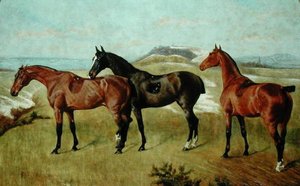 Three Horses: Whissendine, Swallow and Tiptop by George Paice