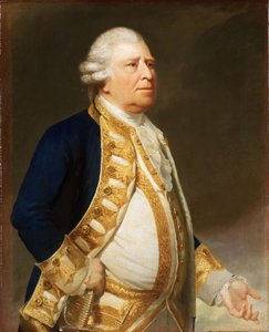 Portrait of a Flag Officer