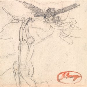 Study for A Midsummer Night